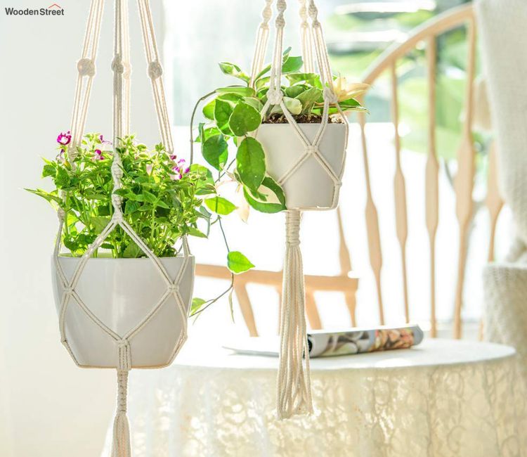 Hanging Planter