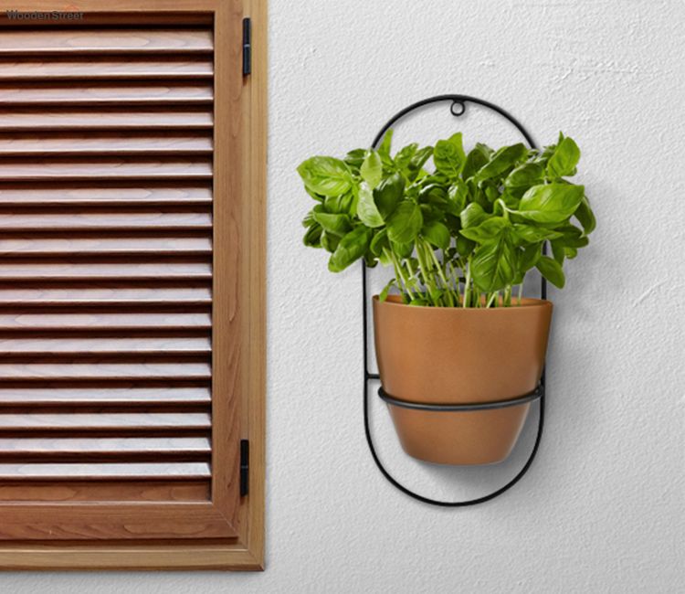 Wall Planters