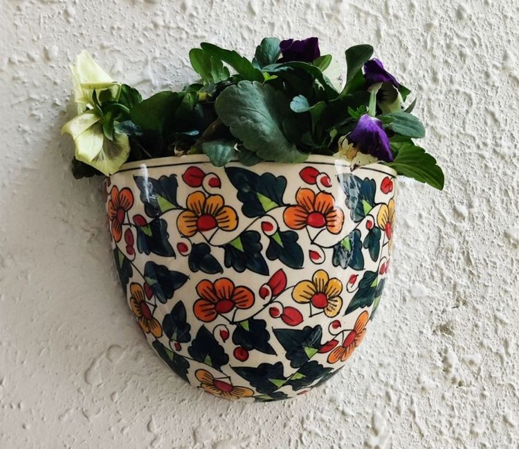 Hanging Plant