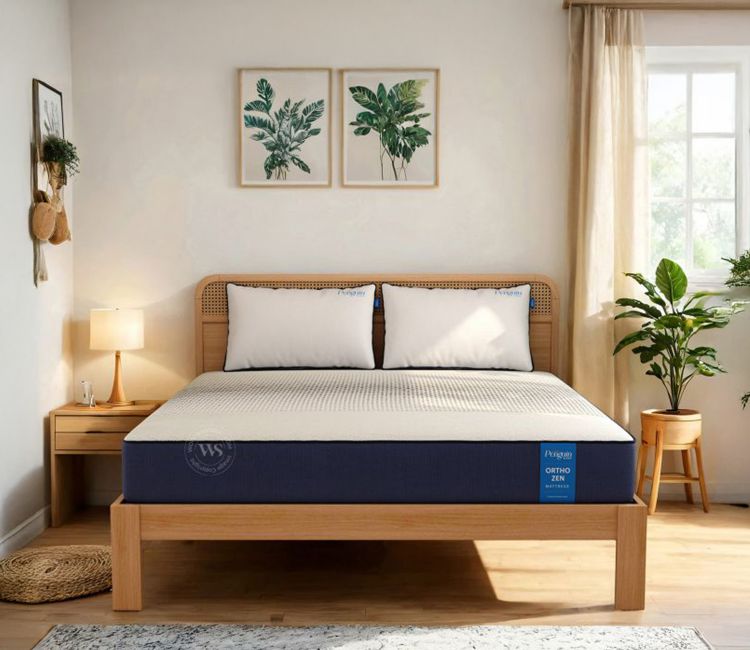 Shop Wooden Street Penguin Ortho zen 6 inchking size bed mattress with charcoal infused HR foam layer