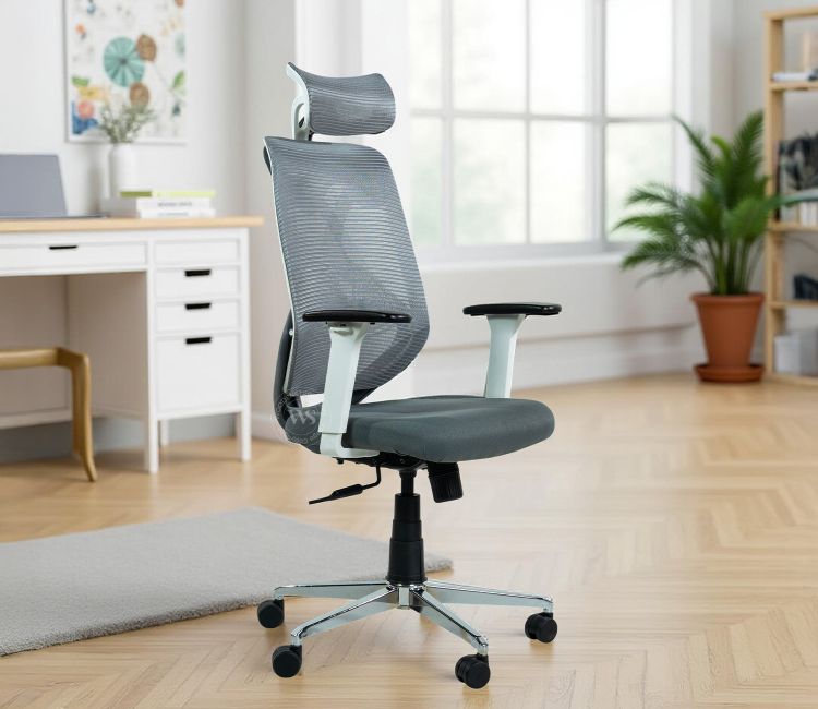 Pictor High Back Mesh Ergonomic Office Chair (Grey) by woodenstreet
