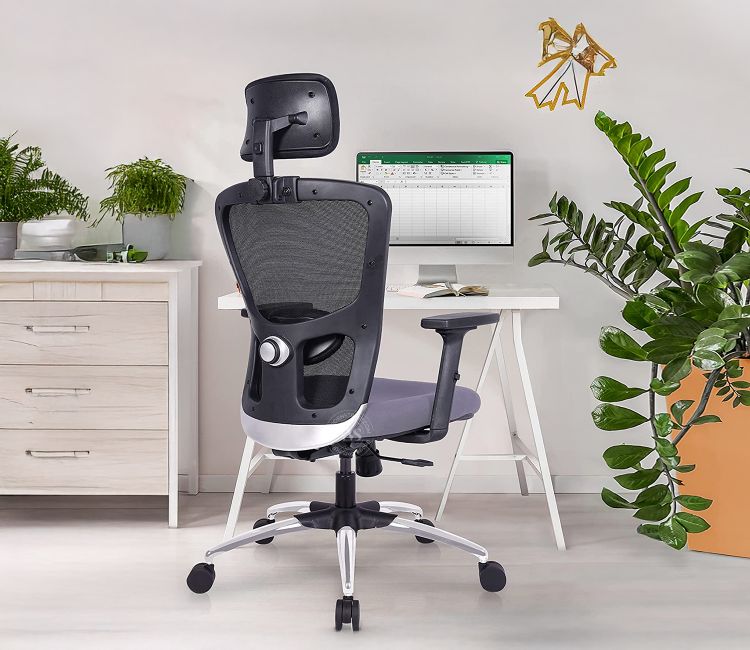 Jupiter Superb High Back Evolutionary Ergonomic Office Chair (Grey)
