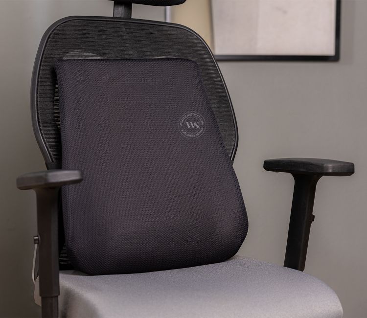 Ergolean Orthopedic Backrest Cushion (Black)