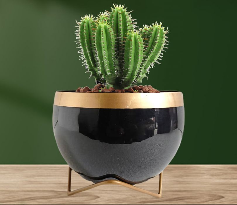 Planters