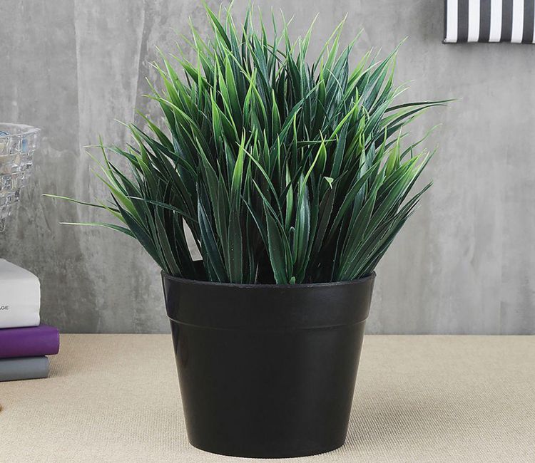 Artificial Plant with Thick Green and White Leaves with Pot