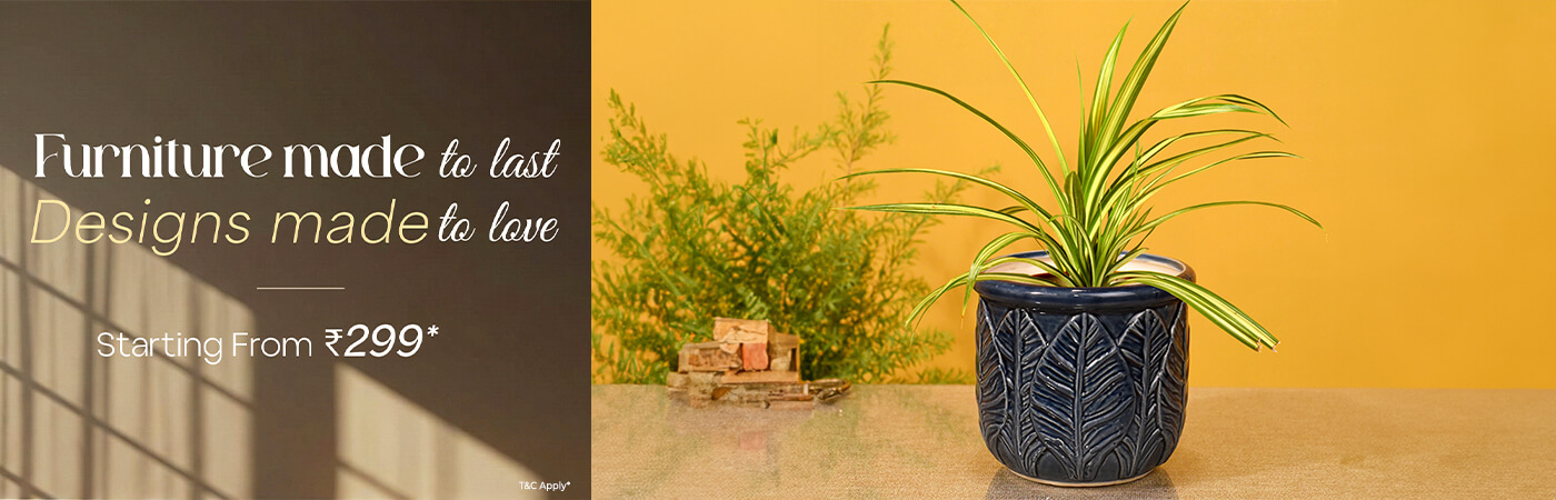 Plant Stand