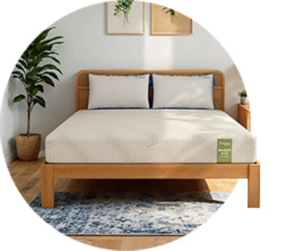 Buy Online Queen Size Mattress