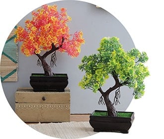 Pot & Planters