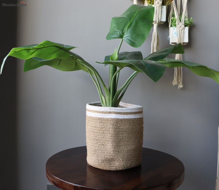 Jute Planters